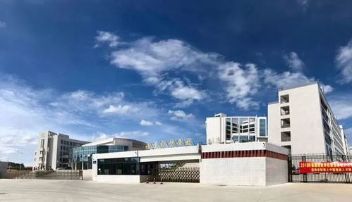 臺商區中考成績不理想怎么辦？經貿咨詢助你規劃新出路