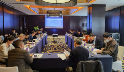 集聚智慧 共繪藍(lán)圖——黃文川主持北京專家咨詢會(huì)為百色重點(diǎn)開(kāi)發(fā)開(kāi)放試驗(yàn)區(qū)建設(shè)把脈